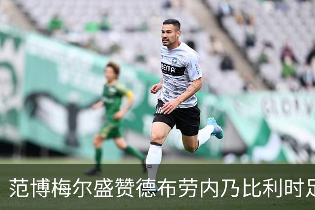 范博梅尔盛赞德布劳内乃比利时足球历史上的顶尖天才